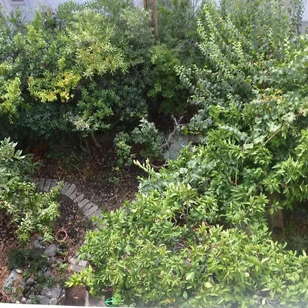 アパート 11361b *