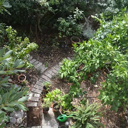 Apartment 11361b Makarska